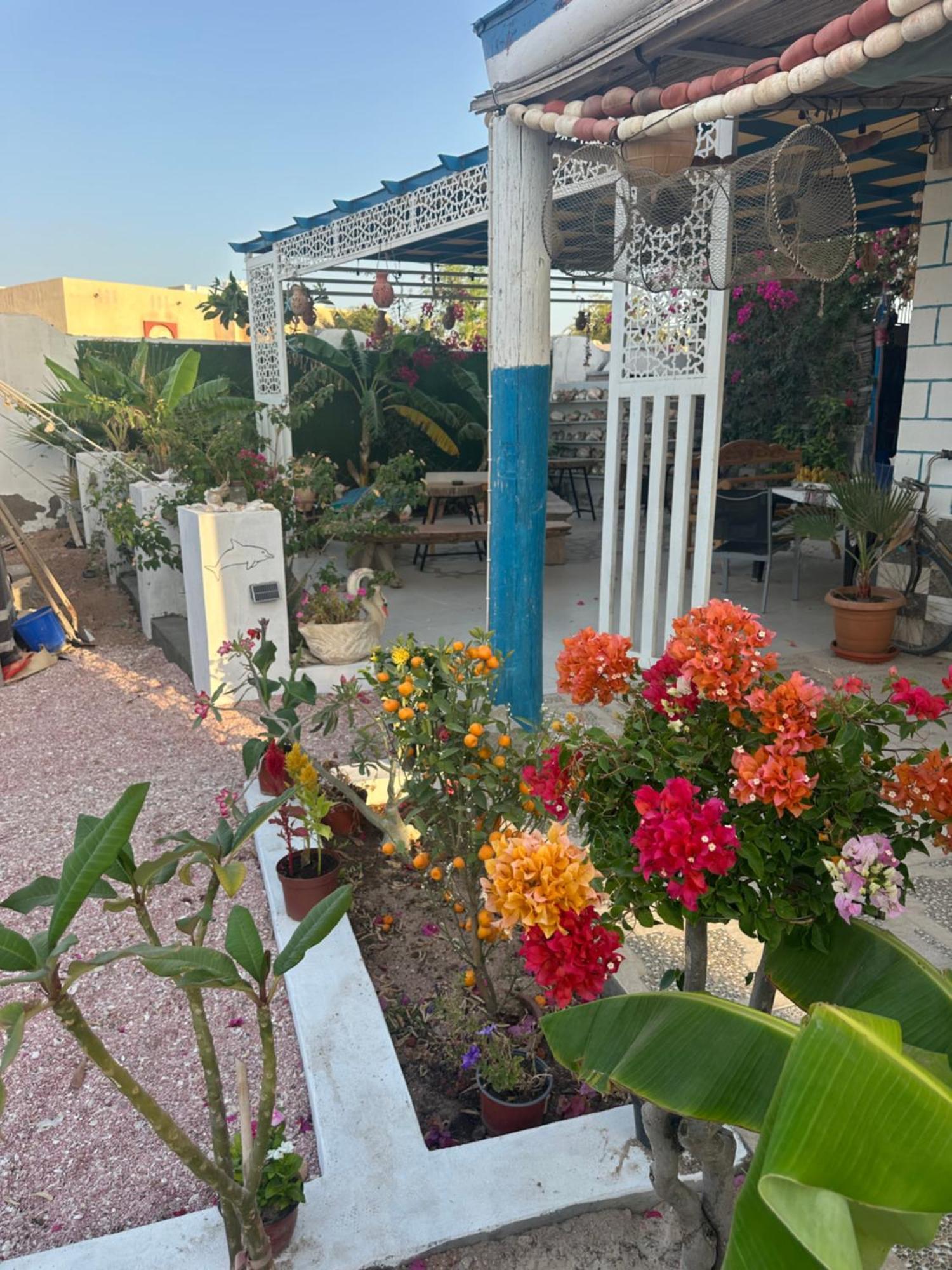 Salem Fish Guest House Ras al Hadd Extérieur photo