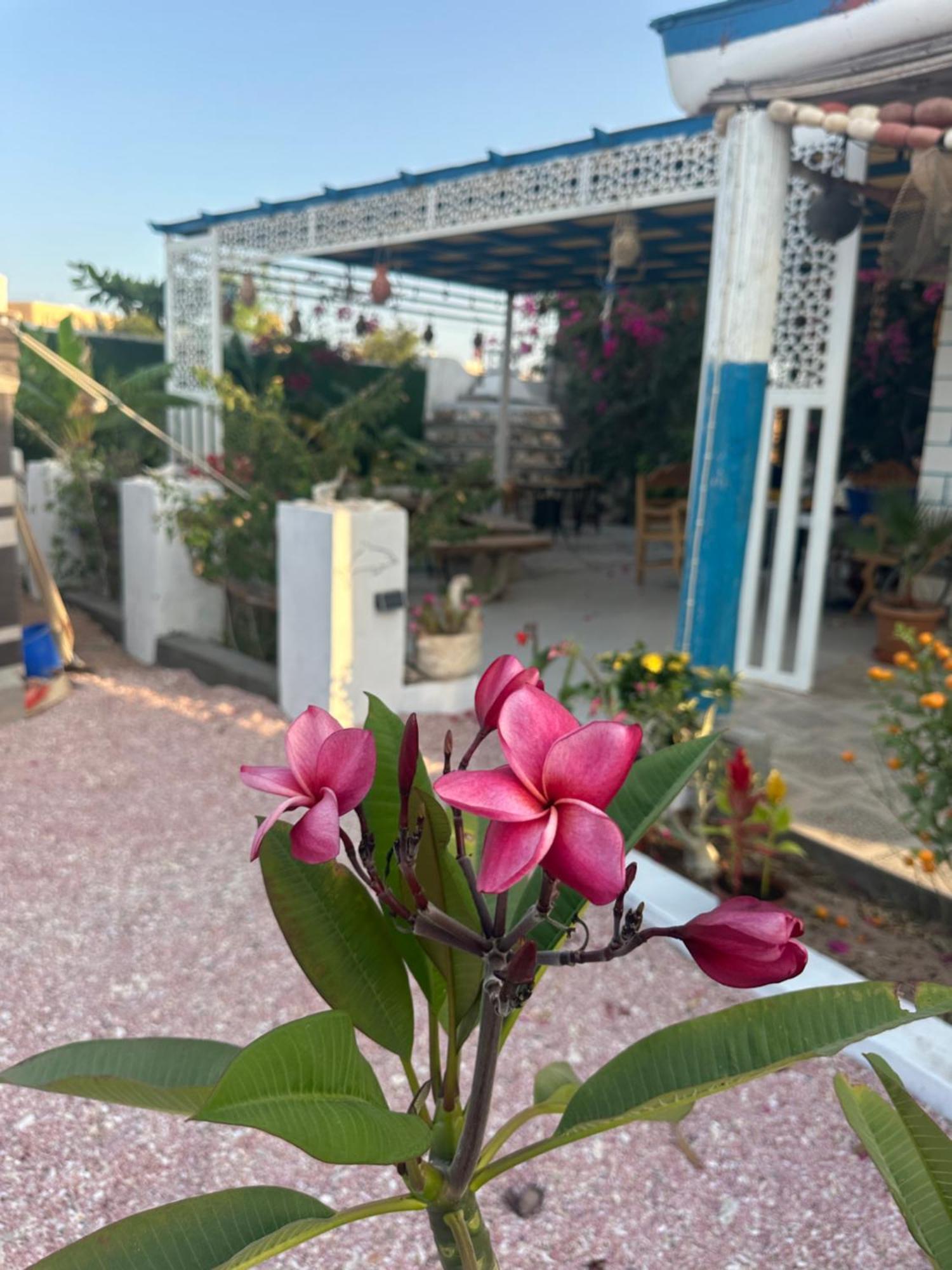 Salem Fish Guest House Ras al Hadd Extérieur photo