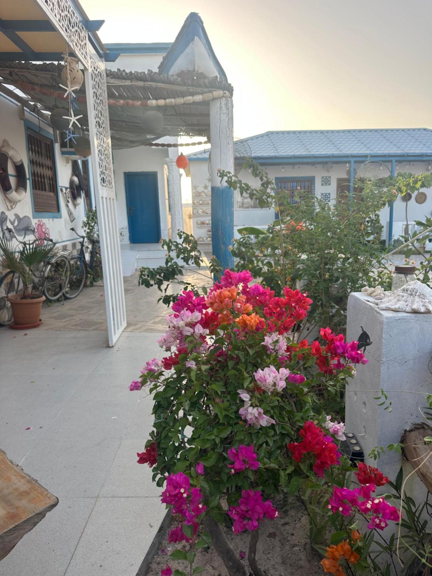 Salem Fish Guest House Ras al Hadd Extérieur photo