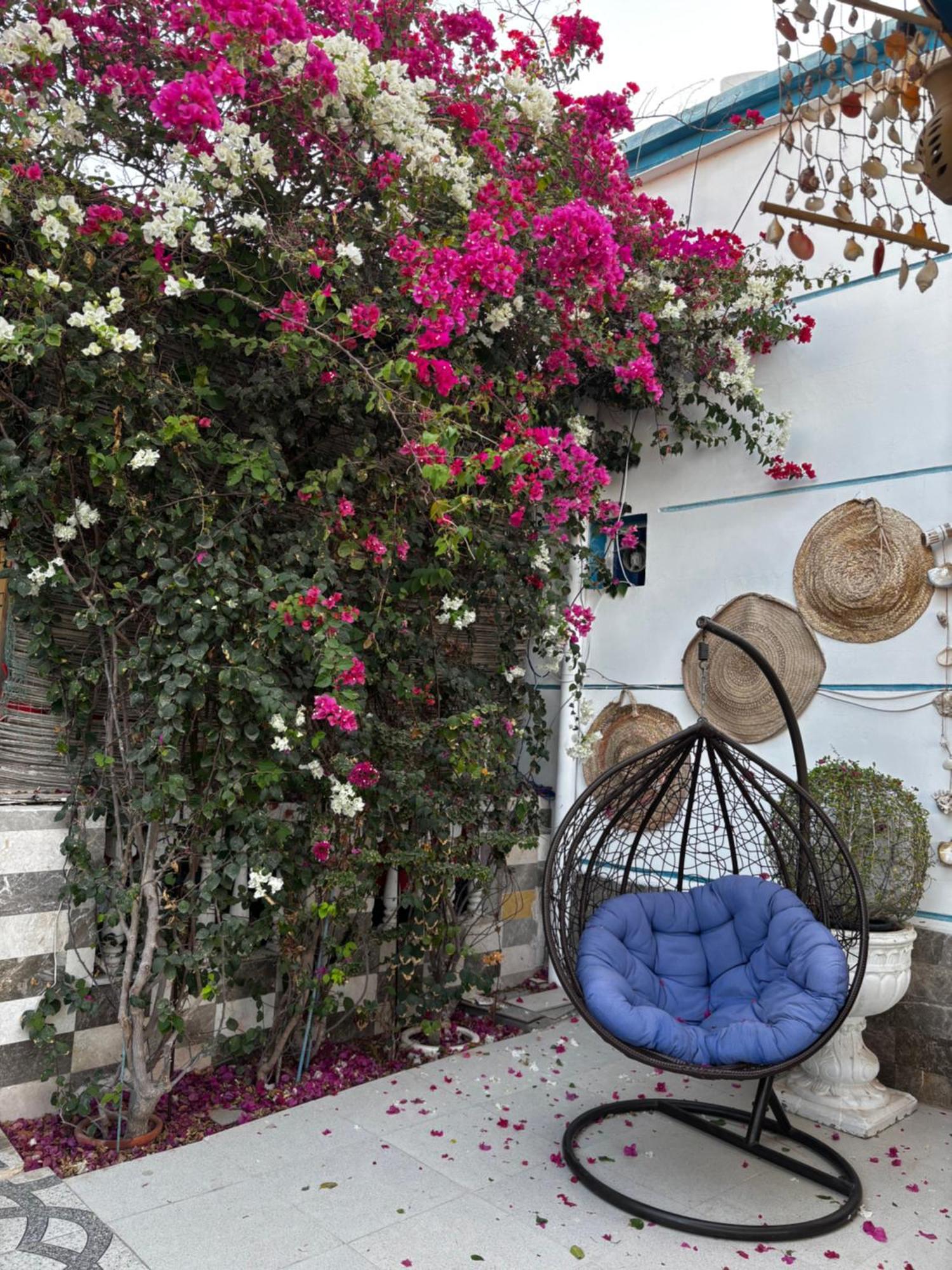 Salem Fish Guest House Ras al Hadd Extérieur photo