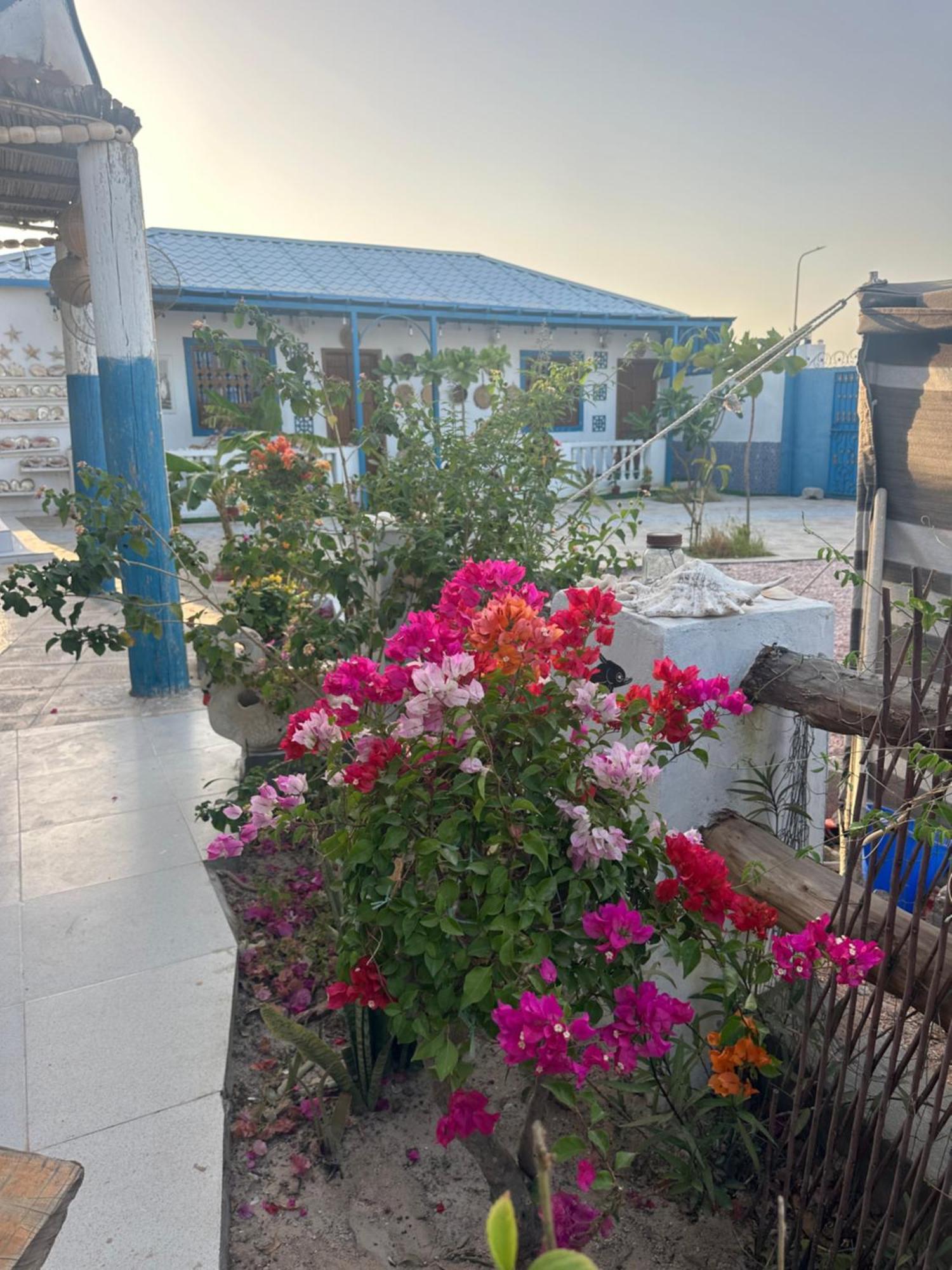 Salem Fish Guest House Ras al Hadd Extérieur photo