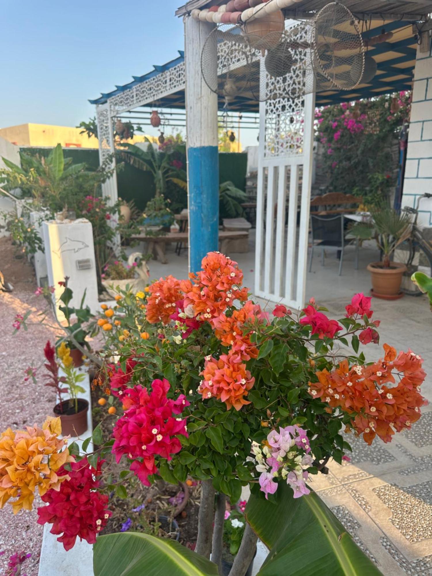 Salem Fish Guest House Ras al Hadd Extérieur photo